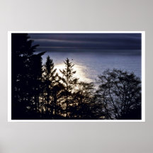Fiskebåt - vatten av redwoodträdnationalpark print