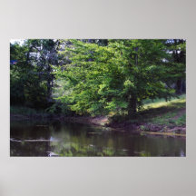 Fiskedamm Print
