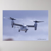 Fiskgjuse V-22 Affisch