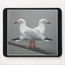 Fiskmås-Kompetent Mousepad Mus Mattor