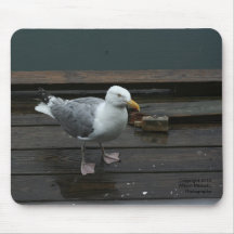 Fiskmås Mousepad Musmatta