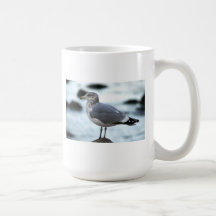 Fiskmås på sten kaffe mugg