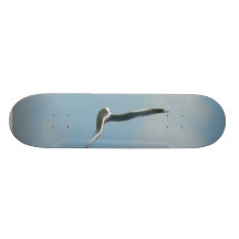 Fiskmåsflyg på skyhögt anpassad skate board