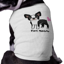 Fismaskin (den boston terrieren) hund kläder