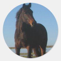 Fjärdhästklistermärke
