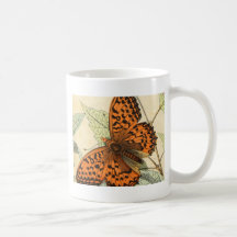 Fjäril Kaffe Kopp