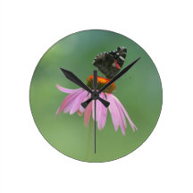 Fjäril och Coneflower
