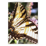 Fjäril - östlig tiger Swallowtail Hälsnings Kort