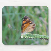 Fjäril på ett ogräs Mousepad Musmatta