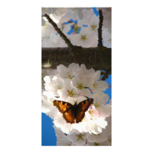 Fjäril Sakura Anpassingsbara Fotokort