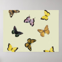 Fjärilar Print