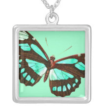 Fjärilshimmelhalsband