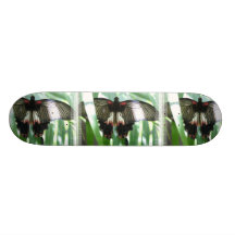 FjärilslantgårdSkateboard