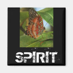 FjärilsLeopardLacewing Cethosia Kylskåpsnagnet
