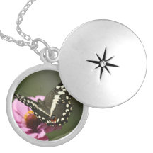 FJÄRILSLOCKET SKRÄDDARSYDDA HALSBAND