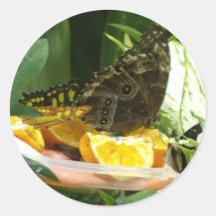 Fjärilslunch 2 klistermärken