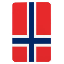 Flagga av den högvärdiga sladdmagneten för norge