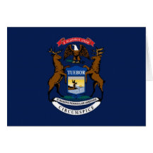 Flagga av Michigan Kort
