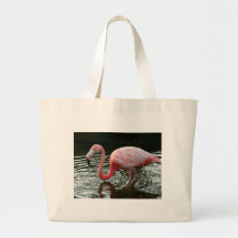 Flamingo 2 kasse