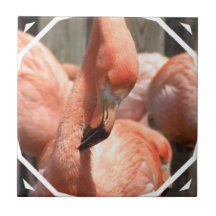 Flamingodesignen belägger med tegel keramiska plattor