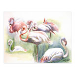 FlamingoFiestavykort