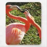 Flamingomousepad Musmattor