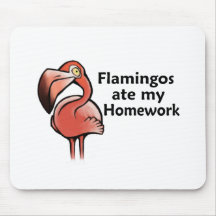 Flamingos åt min läxa mus matta