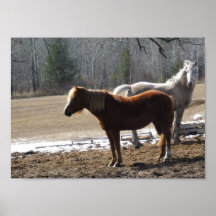 Flickorna Print