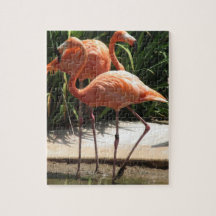Flock av Flamingospussel