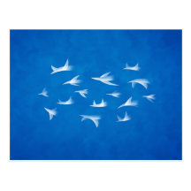Flock Vykort