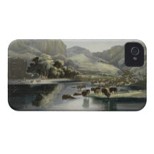 Flockar av bisonen och älgen på upperen Missouri,  Case-Mate iPhone 4 Fodraler