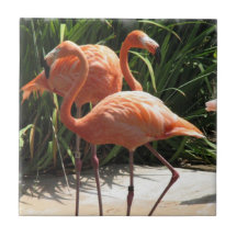 Flocken av Flamingos belägger med tegel Keramiska Plattor