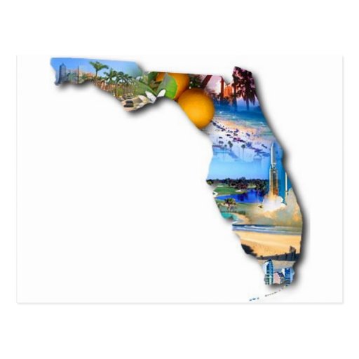 FLORIDA BILDDESIGN VYKORT