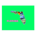 FLORIDA BILDDESIGN VYKORT