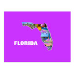 FLORIDA BILDDESIGN VYKORT