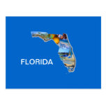 FLORIDA BILDDESIGN VYKORT