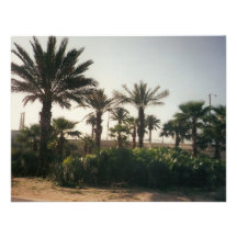 Florida Tillkännagivande