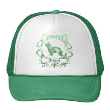 Flott red ut Briard Trucker Kepsar