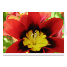 Flower1 Hälsningskort