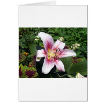 flower#3 kort