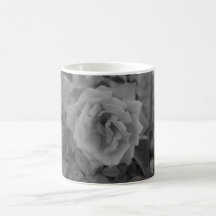 Flower power & naturmuggen - steg blomstra
