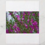 flowerbushreklamblad full färg flygblad