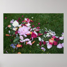 FlowerCollage Print