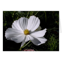 Flower'Ish-09 S.ish Kort