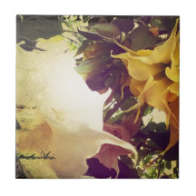 Flowers To My Hummingbird Tile