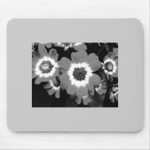 Flowerz Musmattor