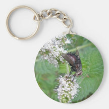 Fluga på serie för Mint (den Tachinini juriniopsis Nyckelring