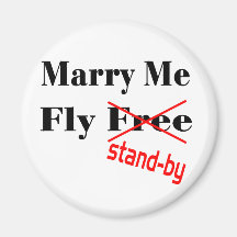 flyfree magnet för kylskåp