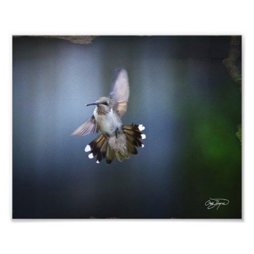 Flyg av ängelfotoet