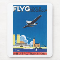 Flyg över Stockholm